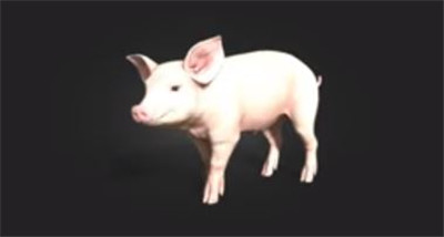 《模拟农场25 Farming Simulator 25》养猪完整攻略