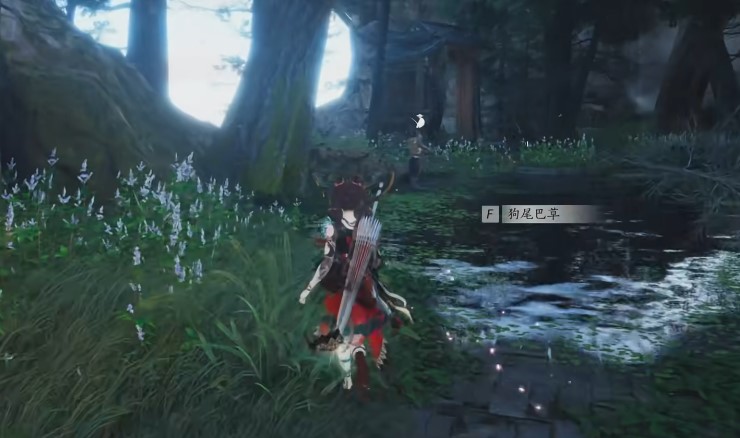 燕云十六声 怎么无限刷狗尾巴草