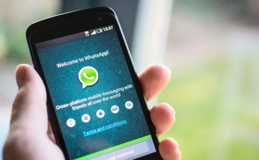怎么样在WhatsApp中格式化文本消息