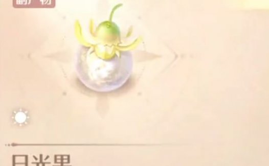 《无限暖暖 Infinity Nikki》在哪里可以找到日光果和星光果